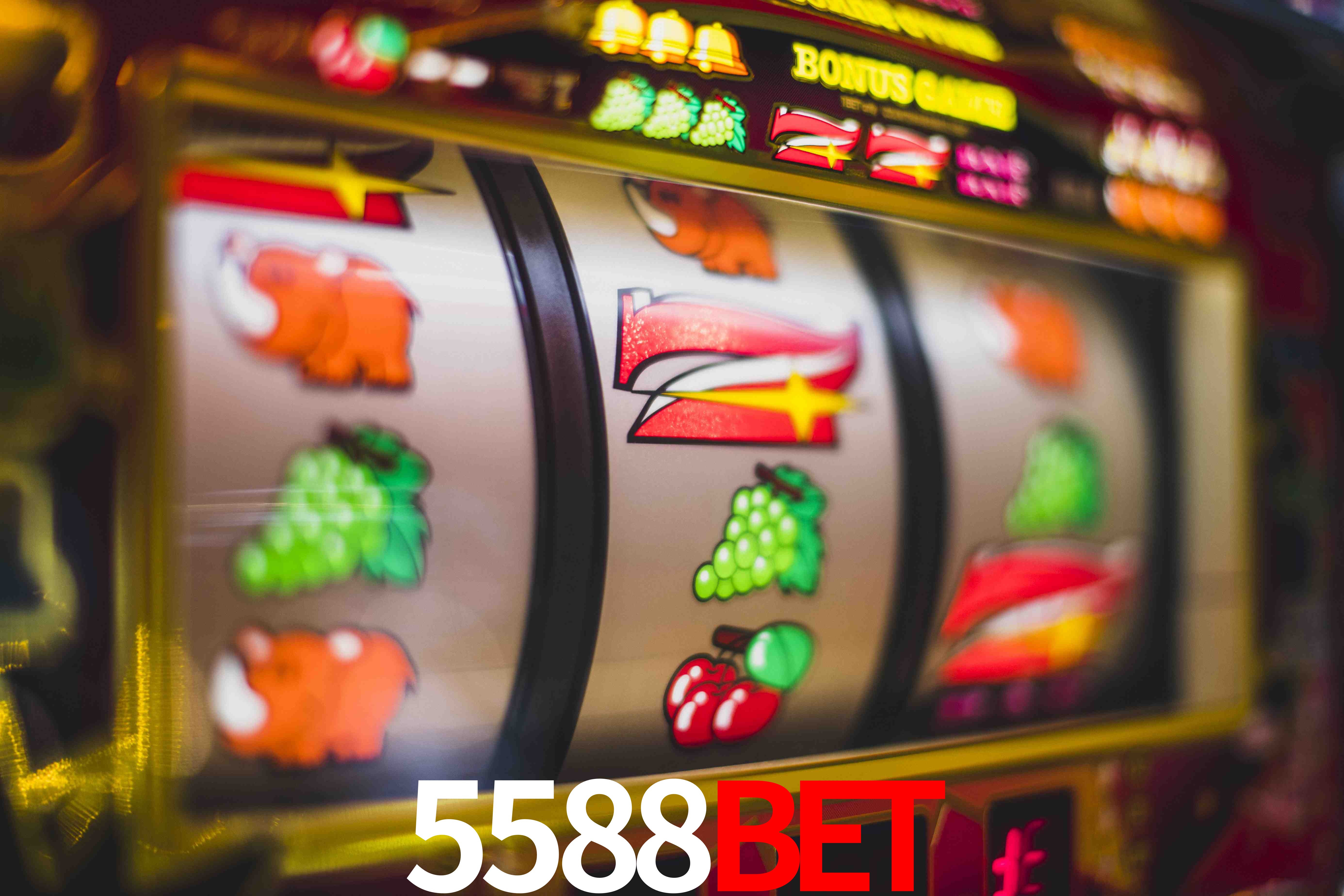 Programa VIP 5588Bet